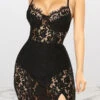 Solid Color Stylish Lace Mini Dress
