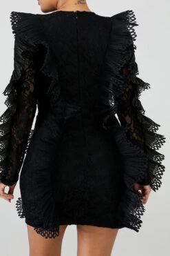 Lace Elegant See-Through Mini Dress -Prettytina C22050352 BK 3 494c29f3 0d88 4a7c bed7 ebaff586958d