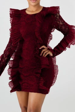 Lace Elegant See-Through Mini Dress -Prettytina C22050352 WR 1 a91dc09d 3044 4a84 8021 3d2815375b7c