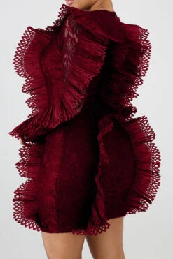 Lace Elegant See-Through Mini Dress -Prettytina C22050352 WR 2 b70bcfd5 22a8 4151 86aa 2478e6b8f514