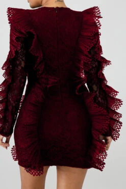 Lace Elegant See-Through Mini Dress -Prettytina C22050352 WR 3 3b514e9a e1eb 4636 bca3 a423fb582758