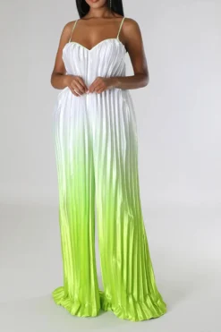 Gradient Striking Wide Leg Pleated Jumpsuit -Prettytina C23051268 GR 3