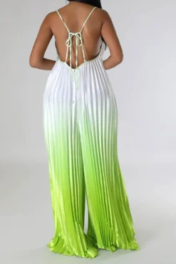 Gradient Striking Wide Leg Pleated Jumpsuit -Prettytina C23051268 GR 4