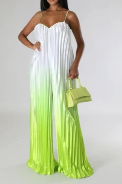 Gradient Striking Wide Leg Pleated Jumpsuit -Prettytina C23051268 GR 5