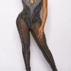 Rhinestone Kitsch See-Through Bodycon Jumpsuit