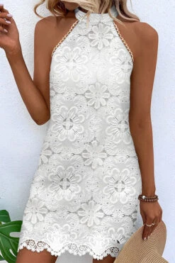 Lace Stunning Halter Collar Mini Dress