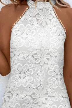 Lace Stunning Halter Collar Mini Dress 5 Lace Stunning Halter Collar Mini Dress -Prettytina H23062596 WH 3